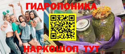 spice Дубна