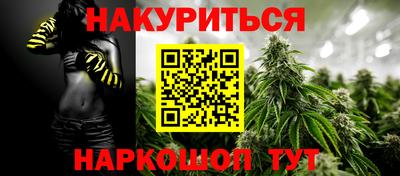 spice Дубна