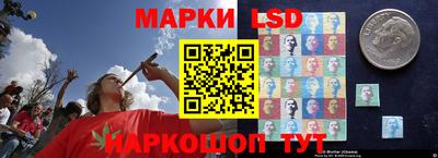 прущие крисы Донецк