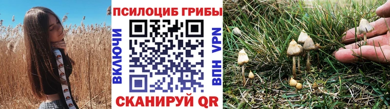 Галлюциногенные грибы MAGIC MUSHROOMS продажа наркотиков Михайловск
