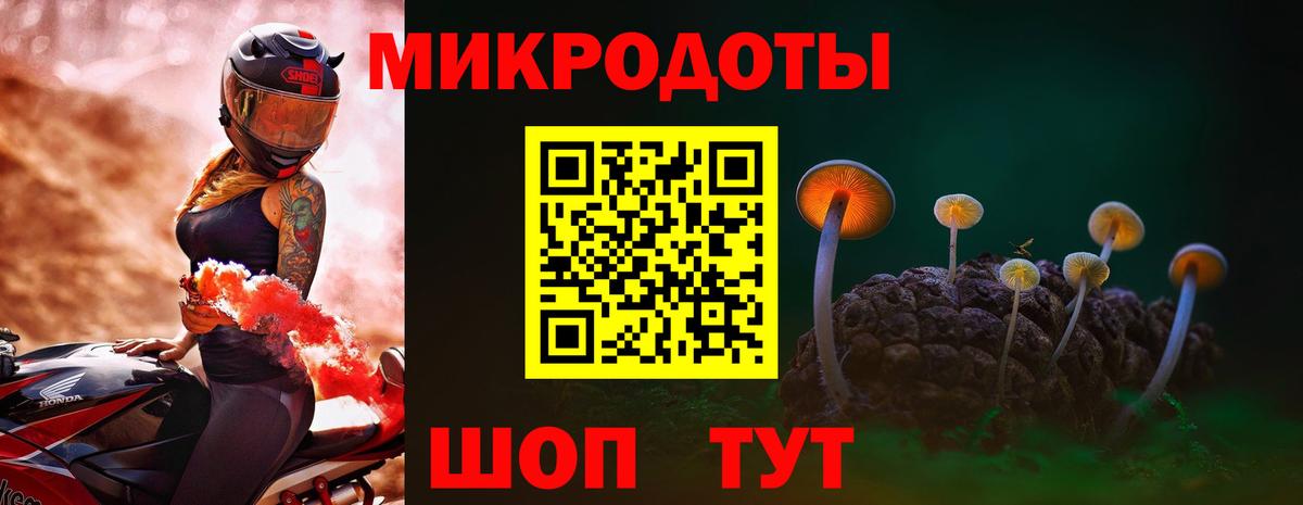 Галлюциногенные грибы мухоморы Михайловск