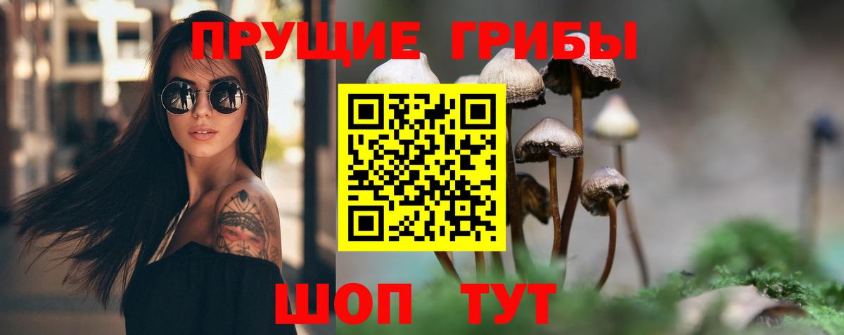 Псилоцибиновые грибы MAGIC MUSHROOMS  Псилоцибиновые грибы GOLDEN TEACHER  Вход с VPN  где продают наркотики  Михайловск 